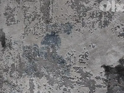 Carpet in excellent condition