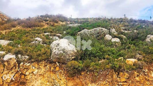 Land In Edde For Sale |   | أرض للبيع  | اده | PLS 24238