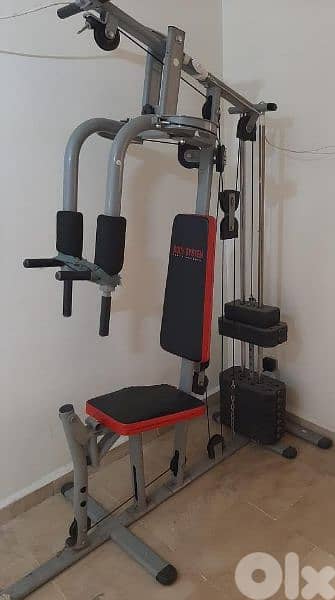 all in 1 Body system HOME GYM from GEO GYM EQUIPMENTS 03027072 0