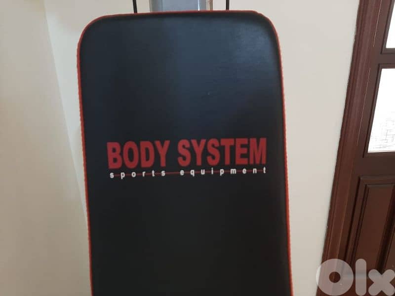 all in 1 Body system HOME GYM from GEO GYM EQUIPMENTS 03027072 1