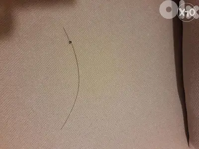 Cord in metal for tailpiece of Violin
