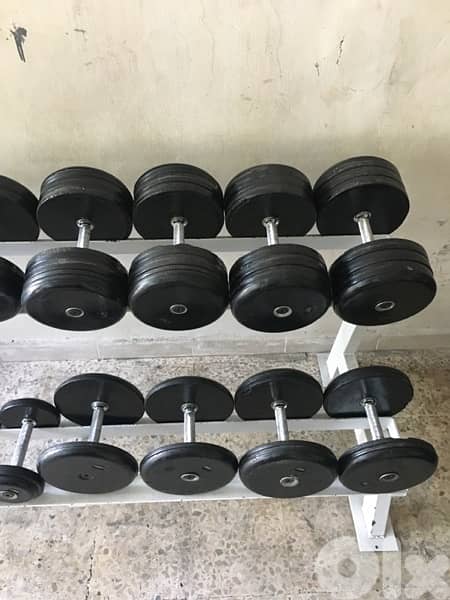 dumbells set from 2.5 kilo till 35 kilo 70/443573 RODGE 1