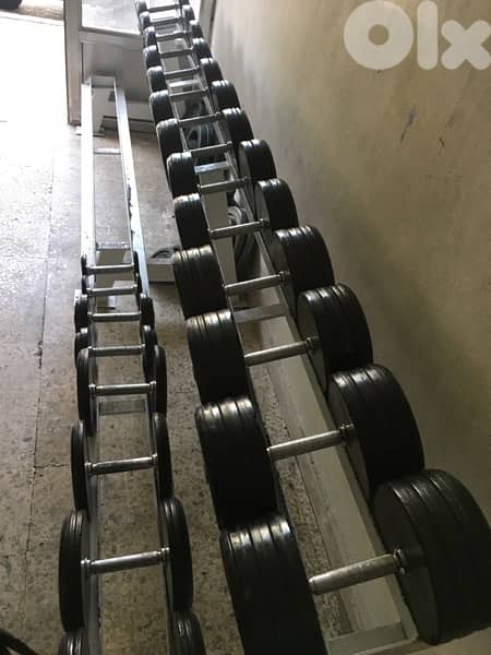 dumbells set from 2.5 kilo till 35 kilo 70/443573 RODGE 4