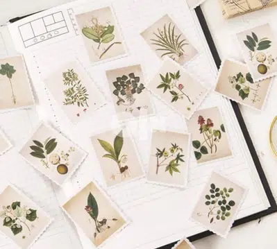 Stationary Sticker - Plant Pattern