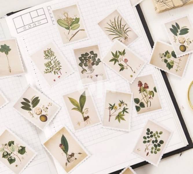 Stationary Sticker - Plant Pattern 0