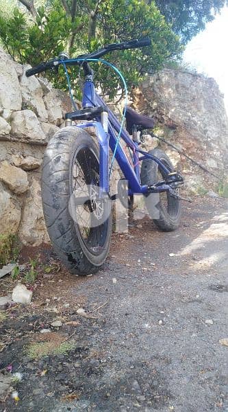 Fat bycicle 0