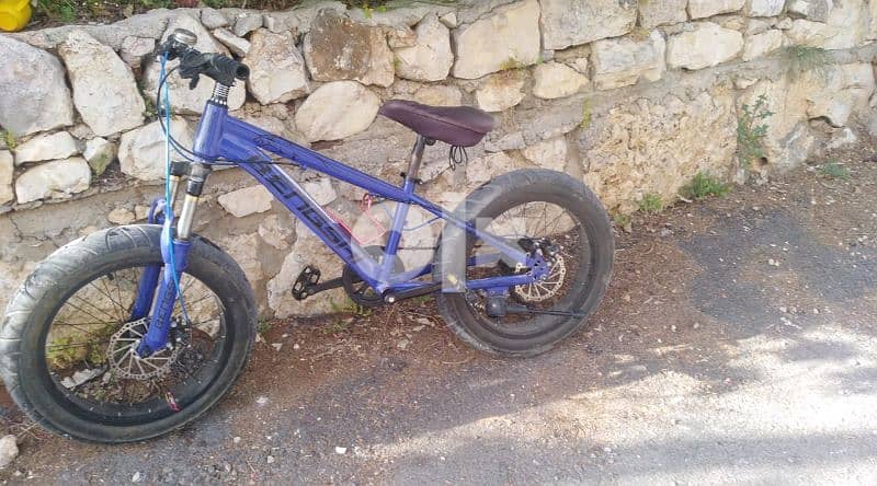 Fat bycicle 1