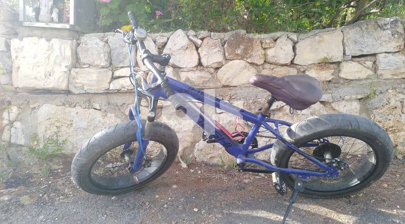 Fat bycicle 2