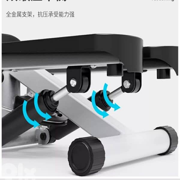 Multifunctional stepper 1