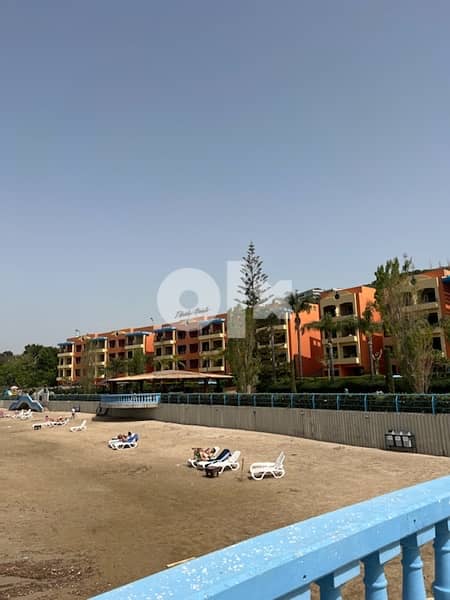 beach house Florida beach, herri north lebanon 8