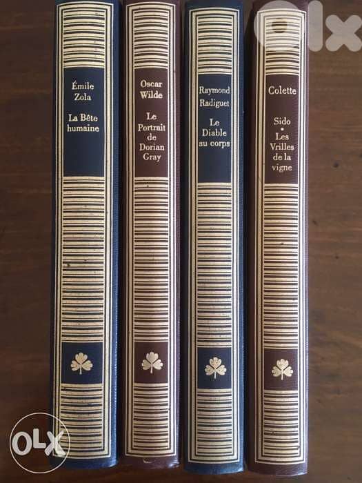 4 Livres Classiques reliure Cuir 1