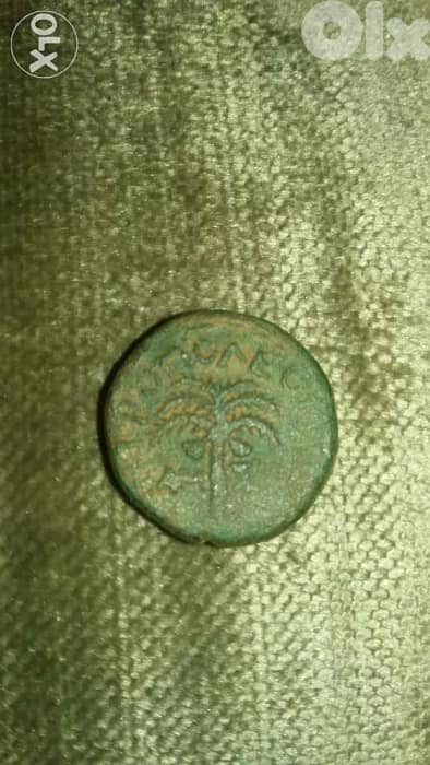 Jesus Christ Era King Herod Antipas Bronze Judea Coin year 30 AD 0