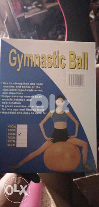 swiss ball 85 0