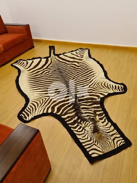 Zebra Authentic Skin Rug 2