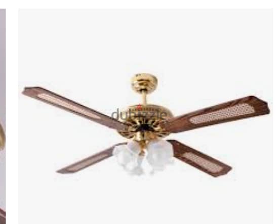 Ceiling Fan 1