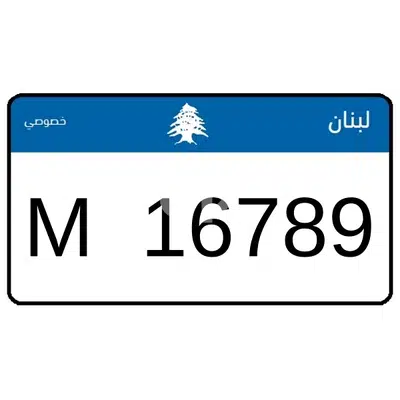 M 1 6 7 8 9 Special Plate Number