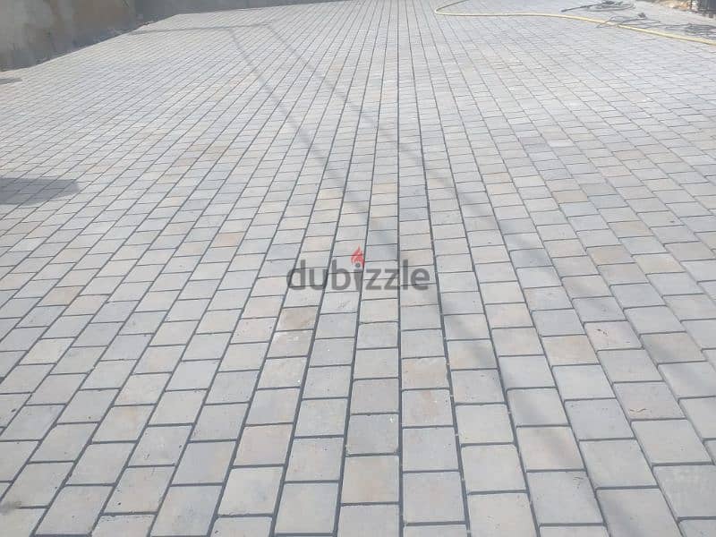 راس المتن 0
