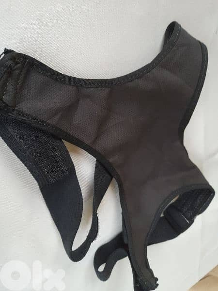 Back Support 2