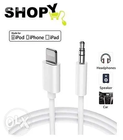 lightning to 3.5 Aux Audio Adapter cable