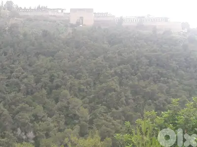 2525 Sqm | Land for sale Roumieh ارض للبيع في رومية