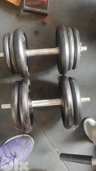 35 kg weights and dumbells 03027072  GEO SPORTS 0