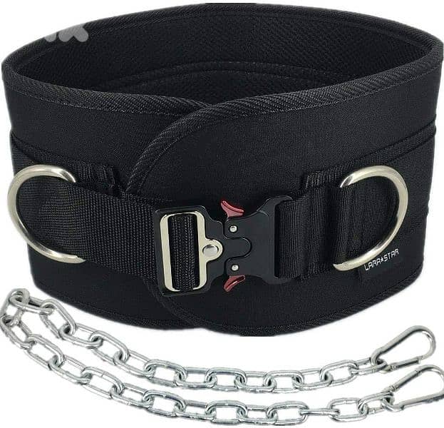LARASTAR Weight Bearing Belt 0