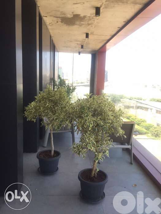 Minimalist one level with Terrace view of the Sea 0