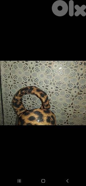 bracelet leopard print high quality 6