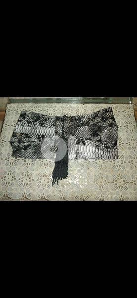 clutch bag snake skin medium size 7