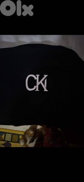 belt ck copy bas in silver 3