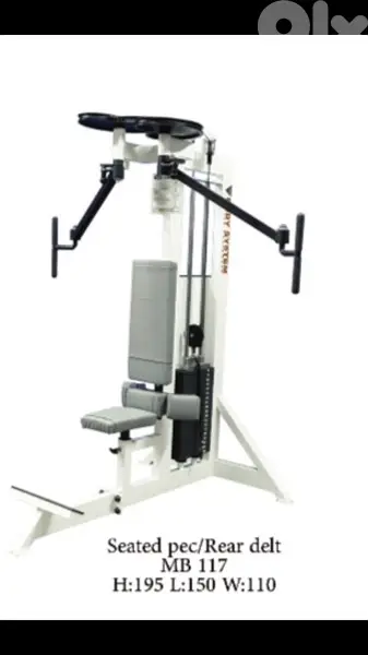 seated pec rear delt machine like new 70/443573 RODGE