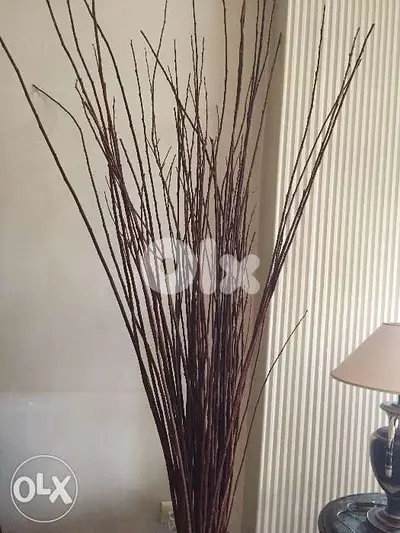 Tige de bois decoratif