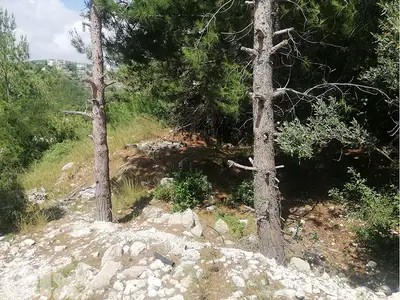 Blat | Land | Calm Area | بلاط | أرض للبيع | PLS 25106