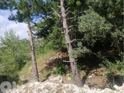 Blat | Land | Calm Area | بلاط | أرض للبيع | PLS 25106