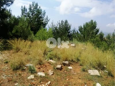 Blat | Land | Calm Area | بلاط | أرض للبيع | PLS 25106