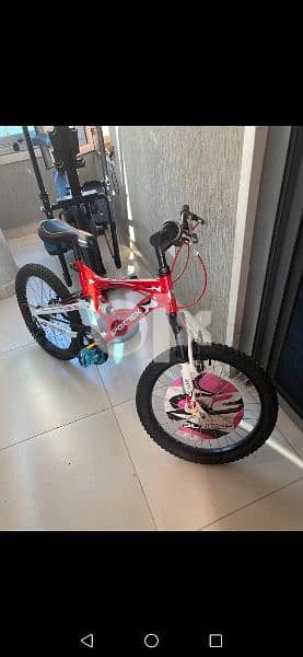 bicycle 1