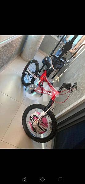 bicycle 2