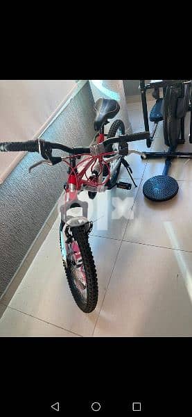 bicycle 4