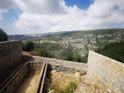 450sqm villa with swimming pool for sale in Freikeh - Kornet el Hamra