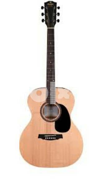 Classical guitar teacher 0