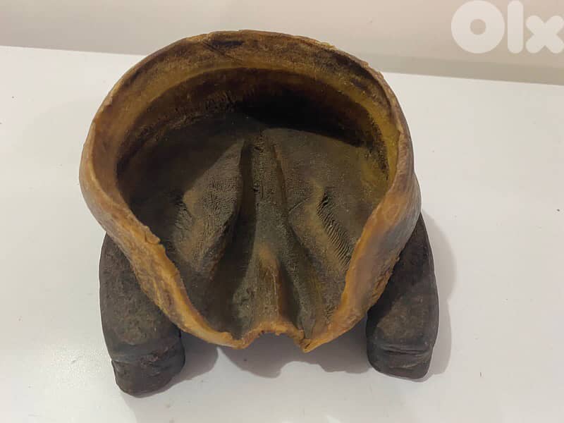 antique original 19th century horse shoe with sabot 1