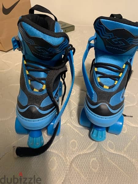 skating shoes 1