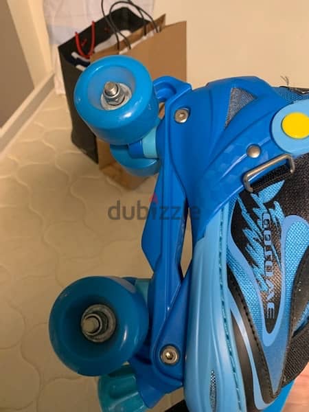 skating shoes 2