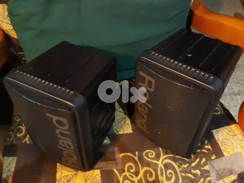 Pair of ROLAND passive speakers MS50 4ohms 100W for studio still new 1