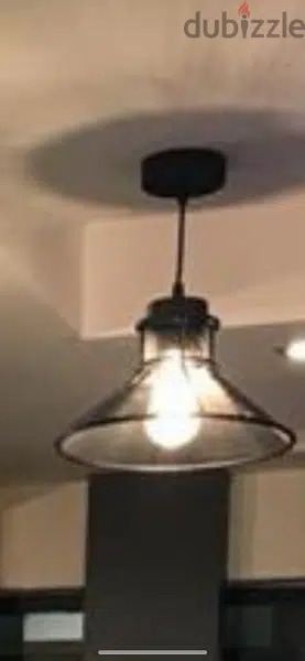 Suspended Lighting with lamp