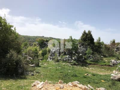 Faytroun Land