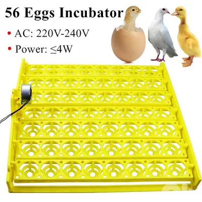 صحن بيض تقليب اتوماتيك  egg tray