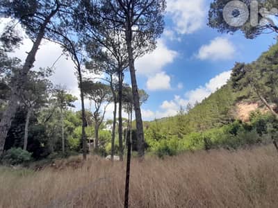 1336 Sqm | Land for sale in Jouret Al Ballout | Mountain view