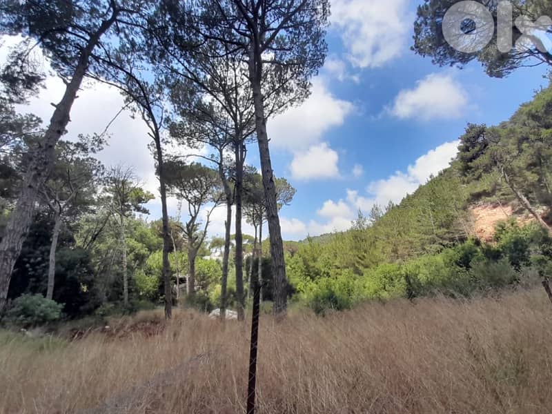 1336 Sqm | Land for sale in Jouret Al Ballout | Mountain view 4