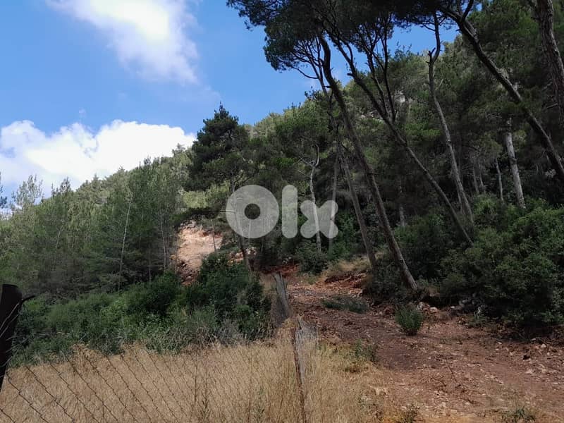 1336 Sqm | Land for sale in Jouret Al Ballout | Mountain view 2
